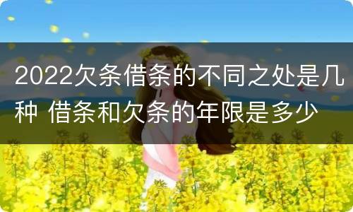 2022欠条借条的不同之处是几种 借条和欠条的年限是多少