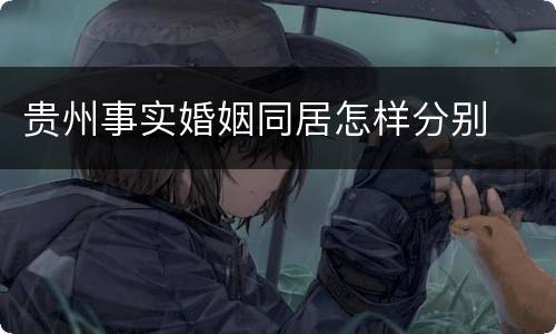 贵州事实婚姻同居怎样分别