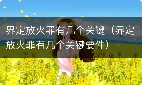 界定放火罪有几个关键（界定放火罪有几个关键要件）
