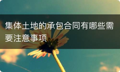 集体土地的承包合同有哪些需要注意事项