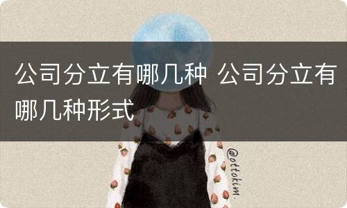 公司分立有哪几种 公司分立有哪几种形式