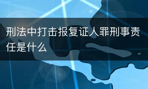 刑法中打击报复证人罪刑事责任是什么
