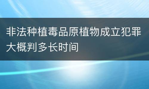 非法种植毒品原植物成立犯罪大概判多长时间