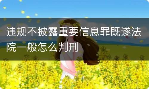 违规不披露重要信息罪既遂法院一般怎么判刑