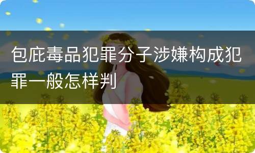 包庇毒品犯罪分子涉嫌构成犯罪一般怎样判
