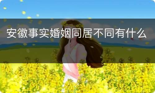 安徽事实婚姻同居不同有什么