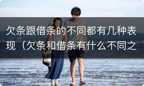欠条跟借条的不同都有几种表现（欠条和借条有什么不同之处）