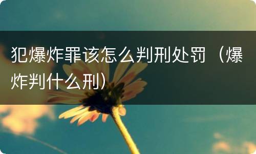 犯爆炸罪该怎么判刑处罚（爆炸判什么刑）