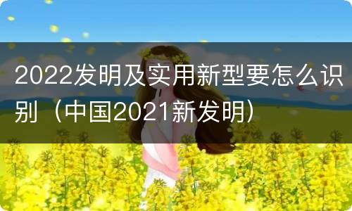 2022发明及实用新型要怎么识别（中国2021新发明）