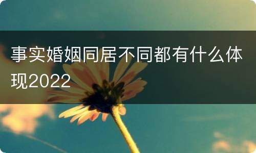事实婚姻同居不同都有什么体现2022