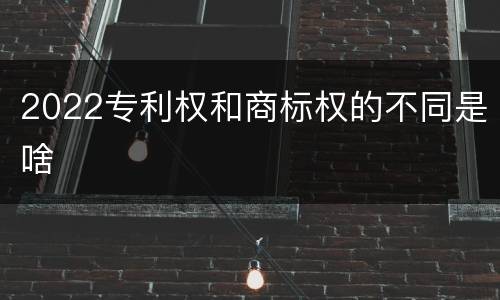 2022专利权和商标权的不同是啥