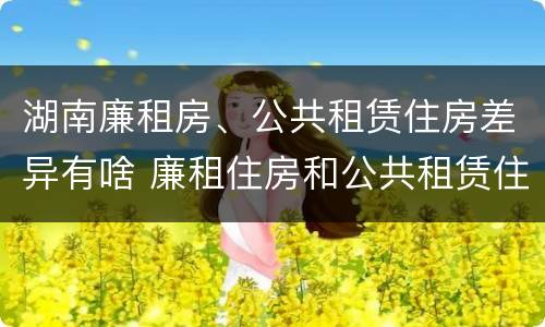湖南廉租房、公共租赁住房差异有啥 廉租住房和公共租赁住房的区别