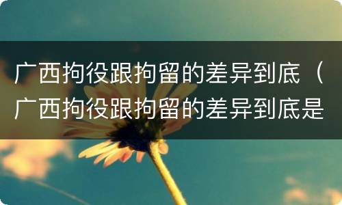 广西拘役跟拘留的差异到底（广西拘役跟拘留的差异到底是什么）