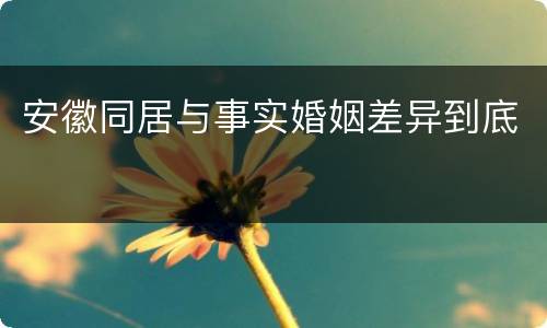 安徽同居与事实婚姻差异到底