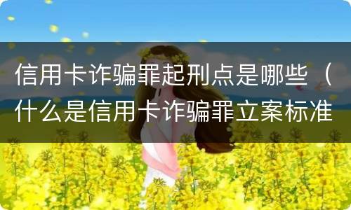 信用卡诈骗罪起刑点是哪些（什么是信用卡诈骗罪立案标准）