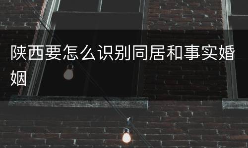 陕西要怎么识别同居和事实婚姻