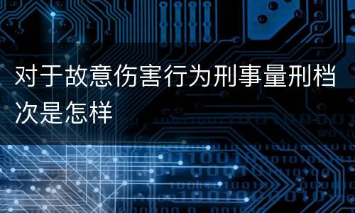 对于故意伤害行为刑事量刑档次是怎样