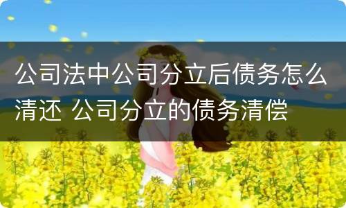 公司法中公司分立后债务怎么清还 公司分立的债务清偿