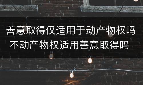 善意取得仅适用于动产物权吗 不动产物权适用善意取得吗