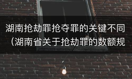 湖南抢劫罪抢夺罪的关键不同（湖南省关于抢劫罪的数额规定）