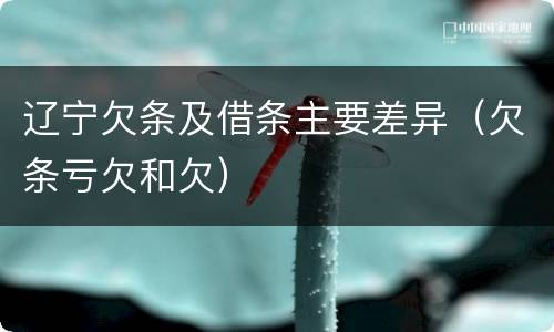 辽宁欠条及借条主要差异(欠条亏欠和欠)