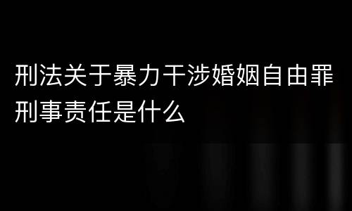 刑法关于暴力干涉婚姻自由罪刑事责任是什么