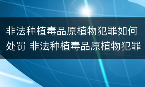 非法种植毒品原植物犯罪如何处罚 非法种植毒品原植物犯罪如何处罚的
