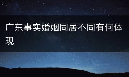 广东事实婚姻同居不同有何体现