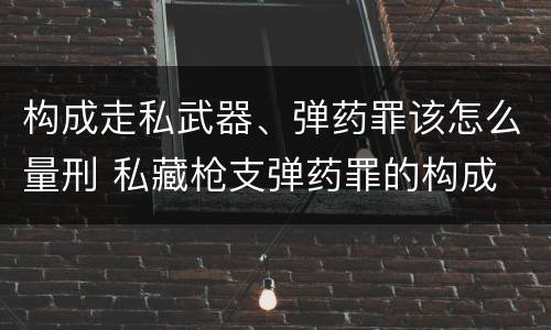 构成走私武器、弹药罪该怎么量刑 私藏枪支弹药罪的构成