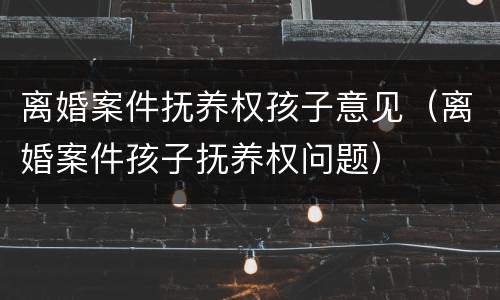 离婚案件抚养权孩子意见（离婚案件孩子抚养权问题）