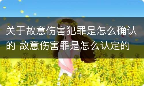 关于故意伤害犯罪是怎么确认的 故意伤害罪是怎么认定的