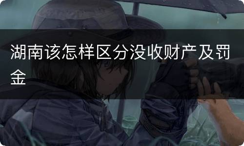 湖南该怎样区分没收财产及罚金