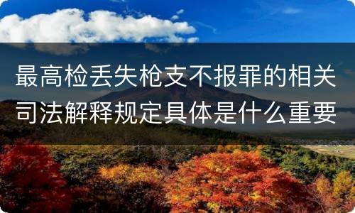 最高检丢失枪支不报罪的相关司法解释规定具体是什么重要内容