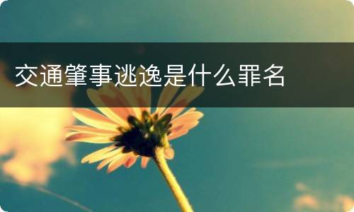 交通肇事逃逸是什么罪名