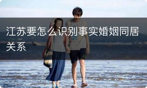 江苏要怎么识别事实婚姻同居关系