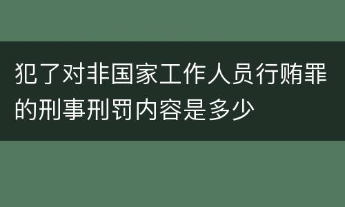犯了对非国家工作人员行贿罪的刑事刑罚内容是多少