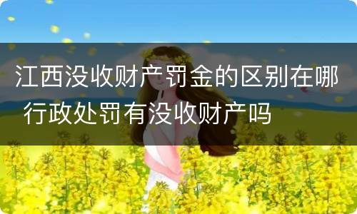 江西没收财产罚金的区别在哪 行政处罚有没收财产吗