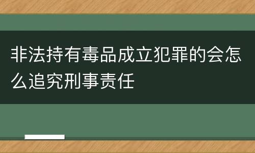非法持有毒品成立犯罪的会怎么追究刑事责任