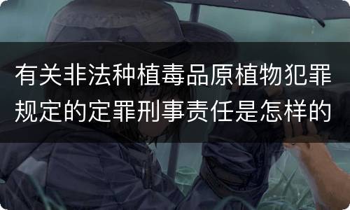 有关非法种植毒品原植物犯罪规定的定罪刑事责任是怎样的