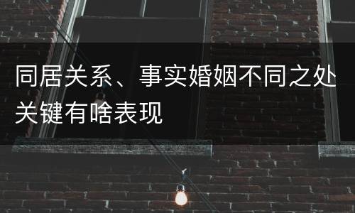 同居关系、事实婚姻不同之处关键有啥表现