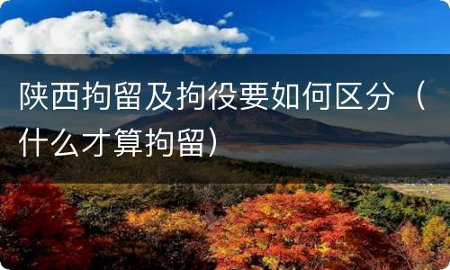 陕西拘留及拘役要如何区分（什么才算拘留）