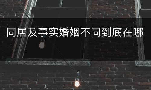 同居及事实婚姻不同到底在哪