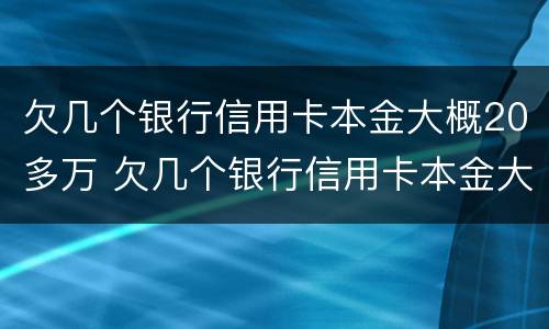 欠几个银行信用卡本金大概20多万 欠几个银行信用卡本金大概20多万怎么还