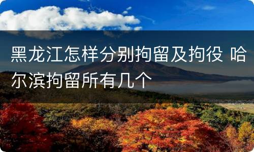 黑龙江怎样分别拘留及拘役 哈尔滨拘留所有几个