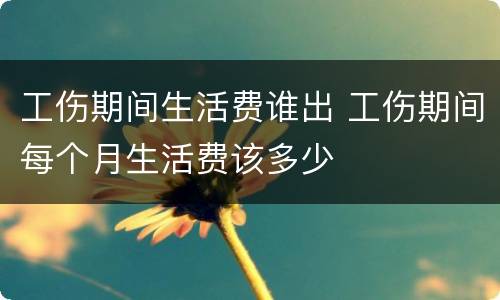 工伤期间生活费谁出 工伤期间每个月生活费该多少