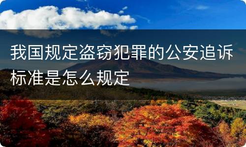 我国规定盗窃犯罪的公安追诉标准是怎么规定
