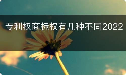 专利权商标权有几种不同2022