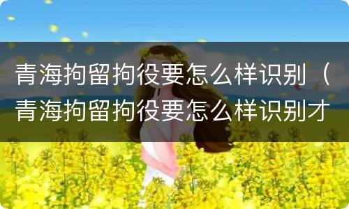 青海拘留拘役要怎么样识别（青海拘留拘役要怎么样识别才能执行）