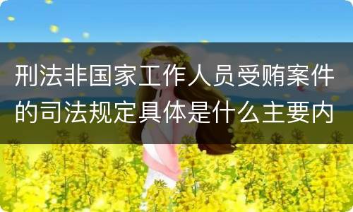 刑法非国家工作人员受贿案件的司法规定具体是什么主要内容