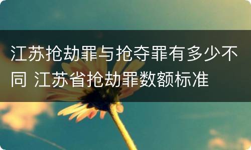 江苏抢劫罪与抢夺罪有多少不同 江苏省抢劫罪数额标准